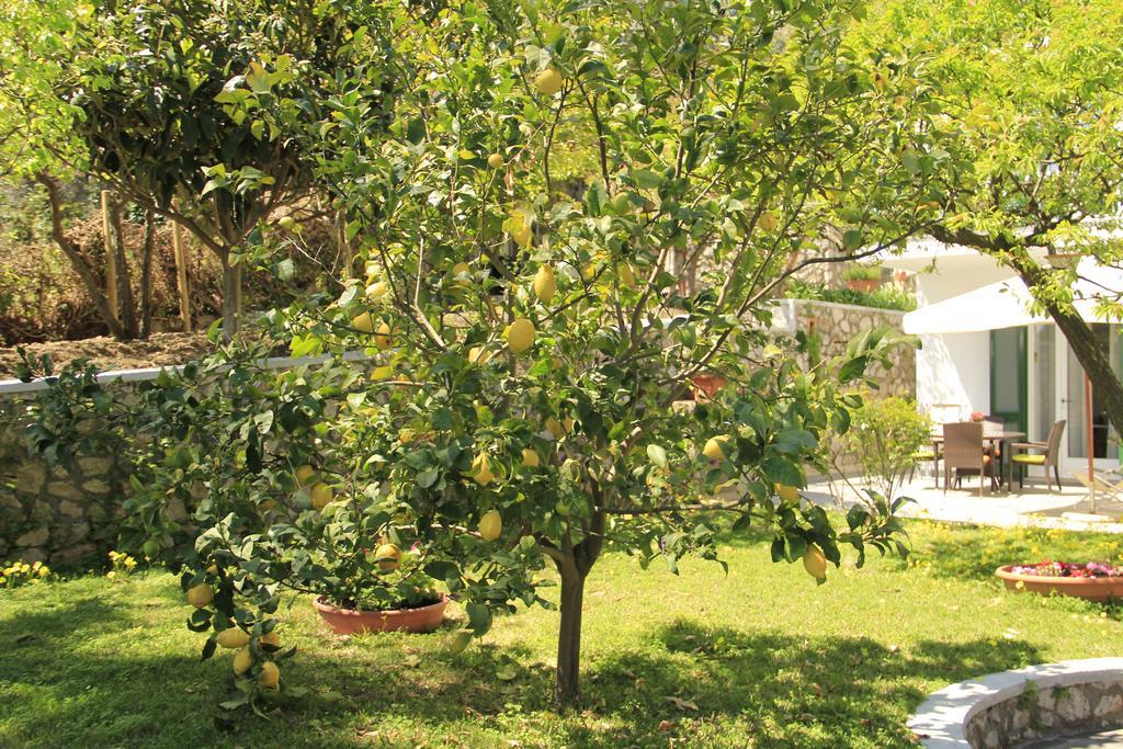 Casa Augusto B&B Capri Dış mekan fotoğraf