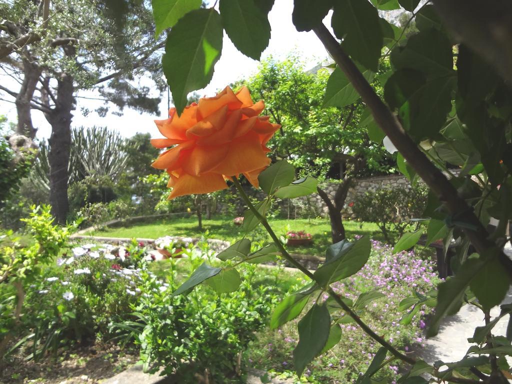 Casa Augusto B&B Capri Dış mekan fotoğraf